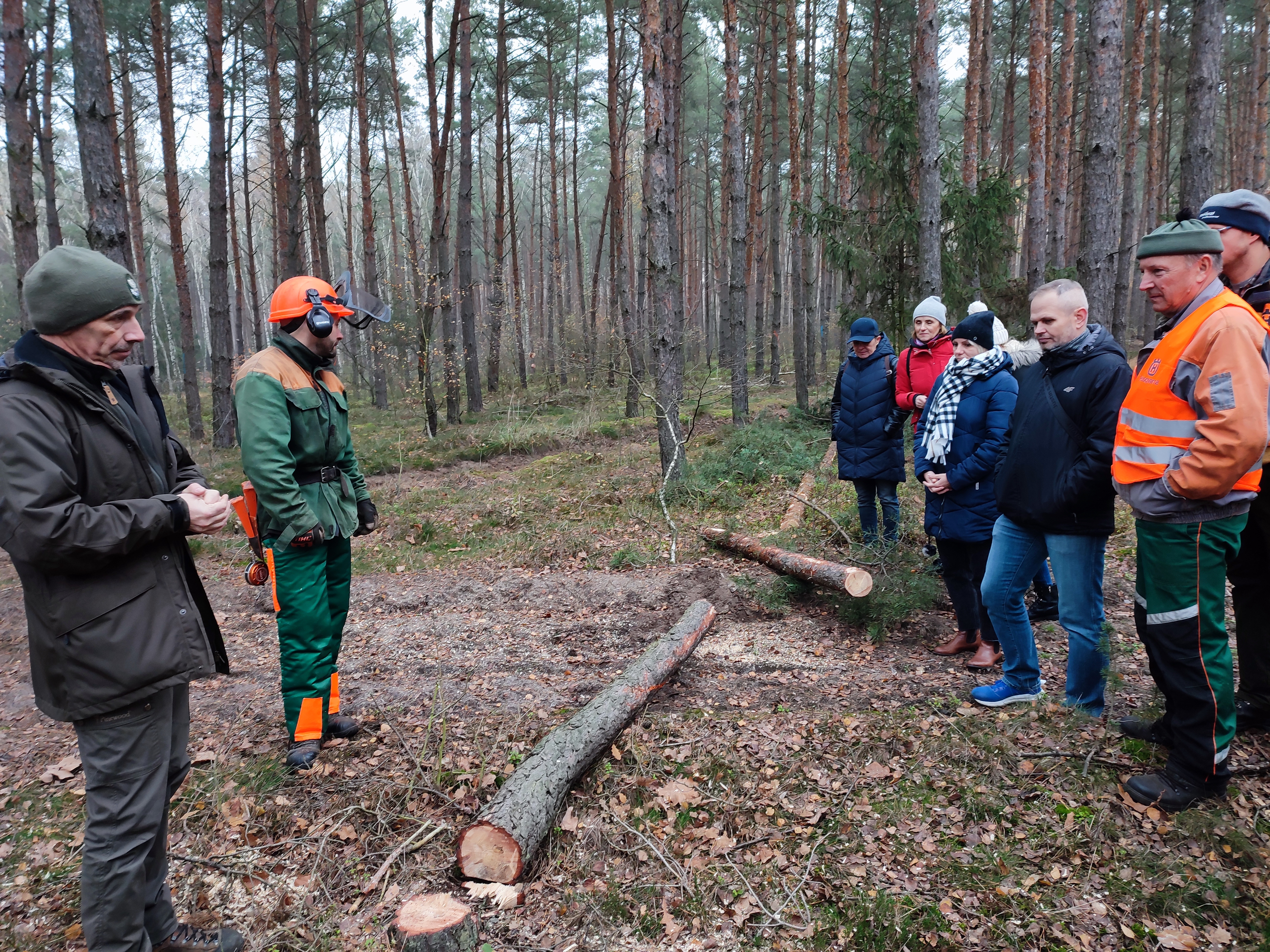 Zdjęcie przedstawia uczestników warsztatów podczas omawiania ręcznego pozyskania drewna w lesie.