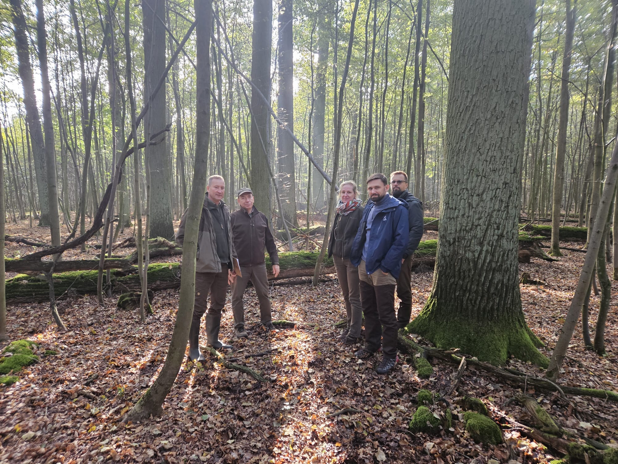 Zdjęcie przedstawia przedstawicieli uczestniczących w lustracji terenowej dotyczącej planowanego zwiększenia rezerwatu "Bodzewko". (fot. archiwum nadleśnictwa, M. Praczyk)