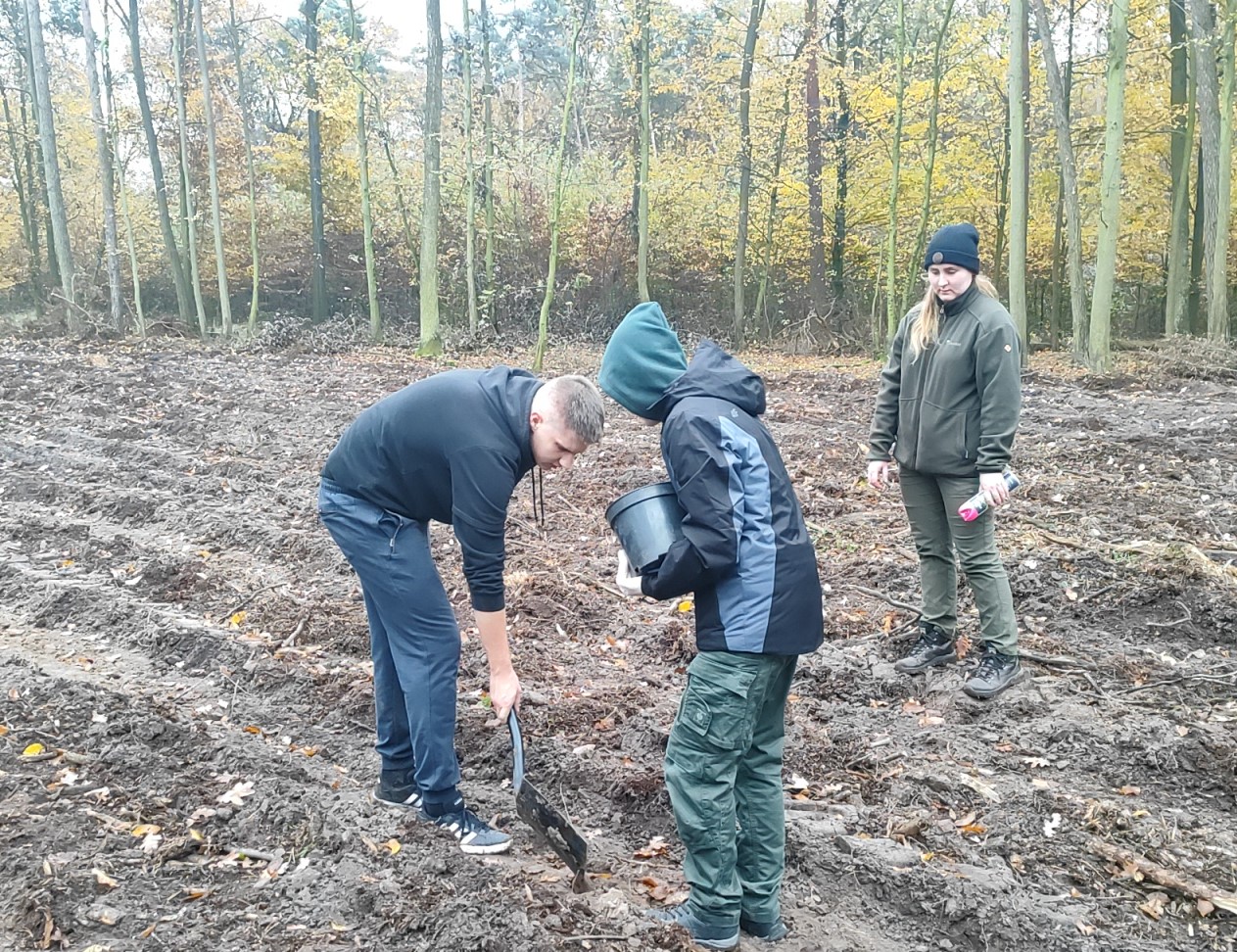 Zdjęcie przedstawia leśników, którzy wspólnie z młodzieżą wysiewają żołędzie (fot. archiwum nadleśnictwa, M. Prętkowska)