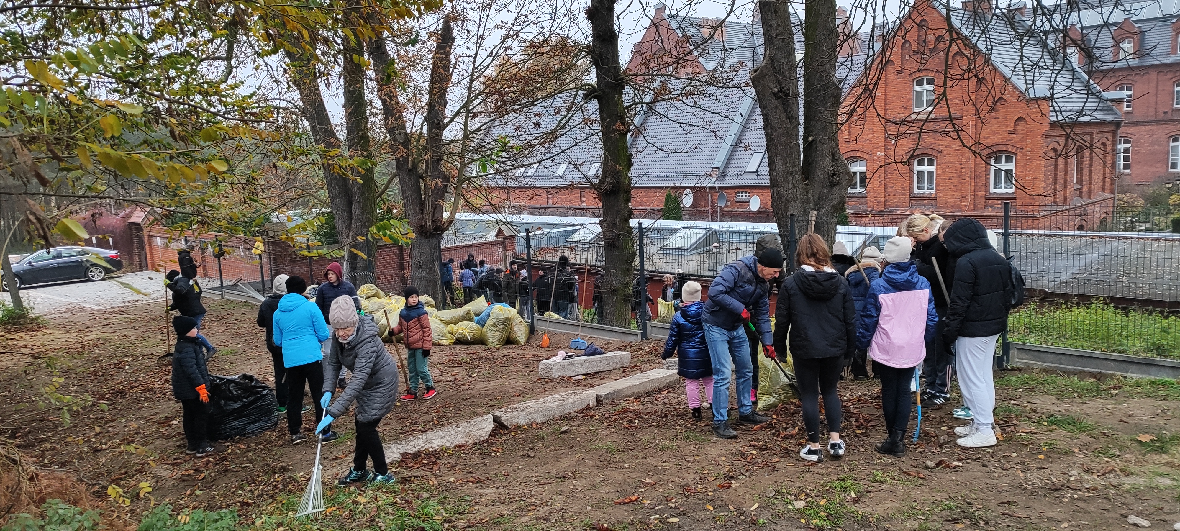 Zdjęcie przedstawia uczestników akcji grabienia liści kasztanowców (fot. archiwum nadleśnictwa, M. Prętkowska)