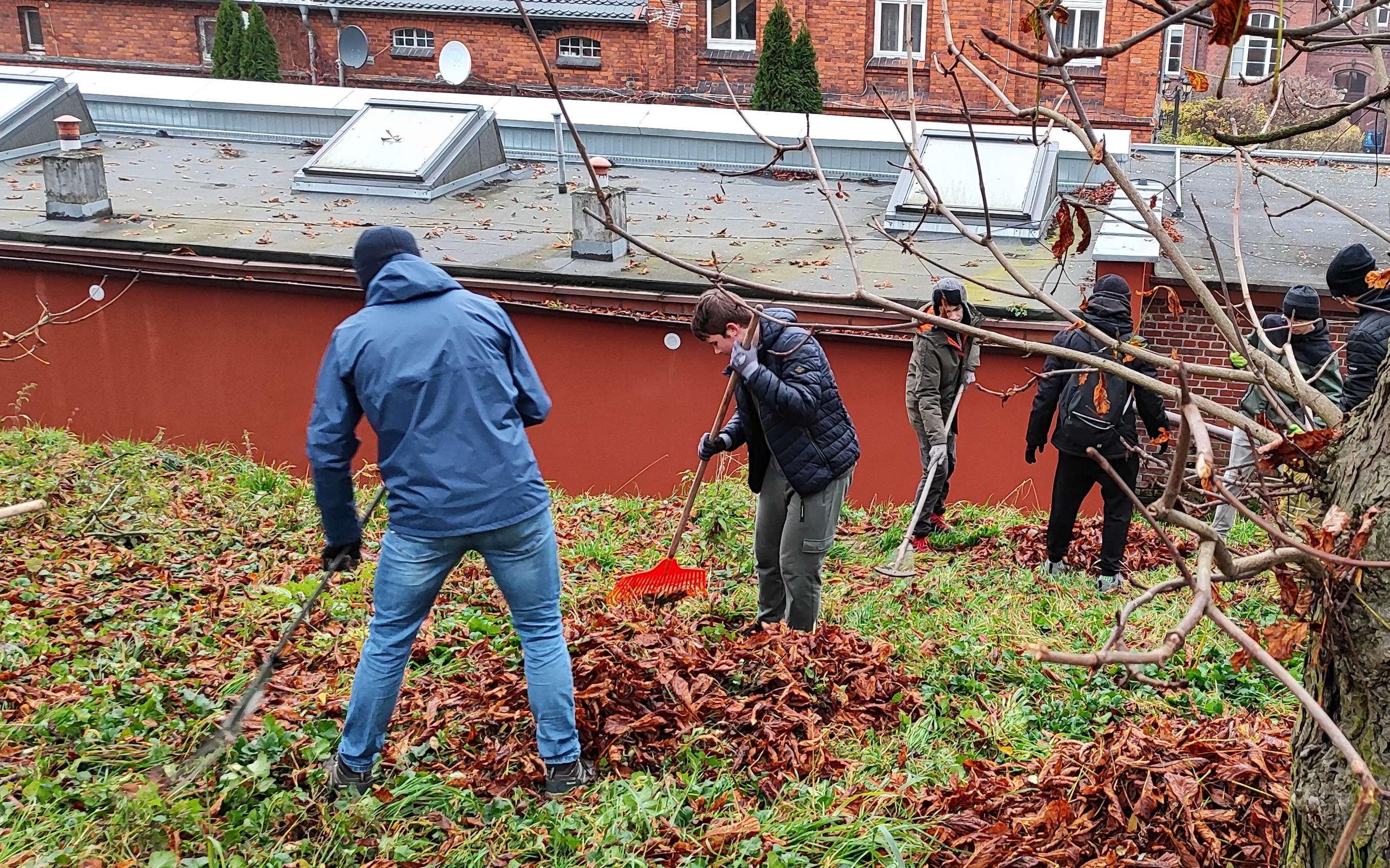 Zdjęcie przedstawia uczestników akcji "Ratujmy kasztanowce" grabiących liście (fot. archiwum nadleśnictwa, M. Prętkowska)