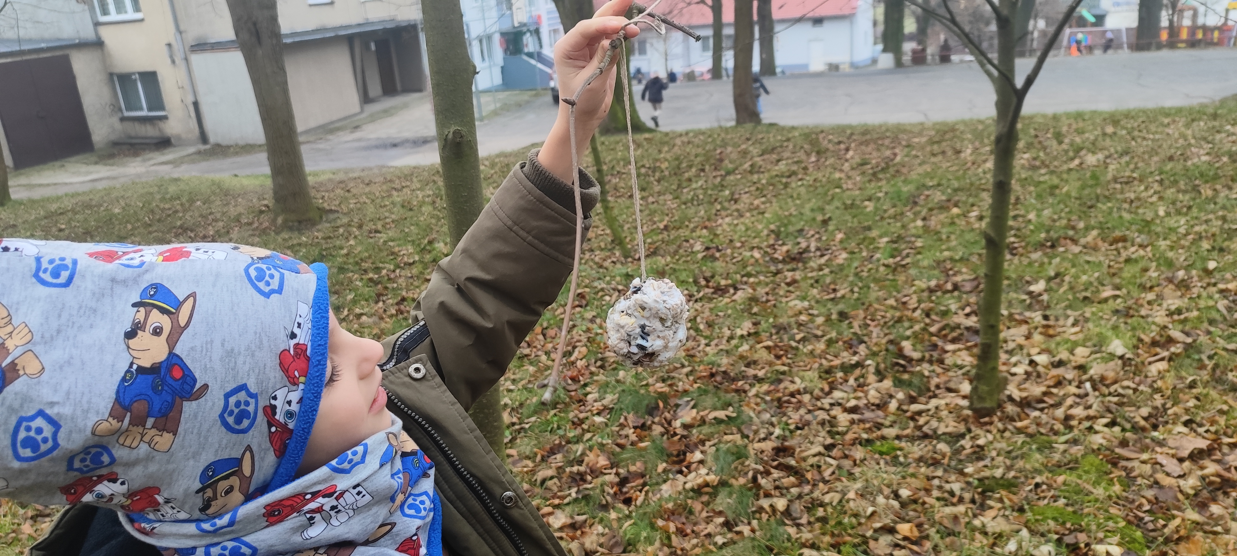 Zdjęcie przedstawia uczestnika zajęć wieszającego szyszkę tłuszczową na gałęzi w parku sąsiadującym z CKiB w Piaskach. (fot. archiwum nadleśnictwa, M. Prętkowska)