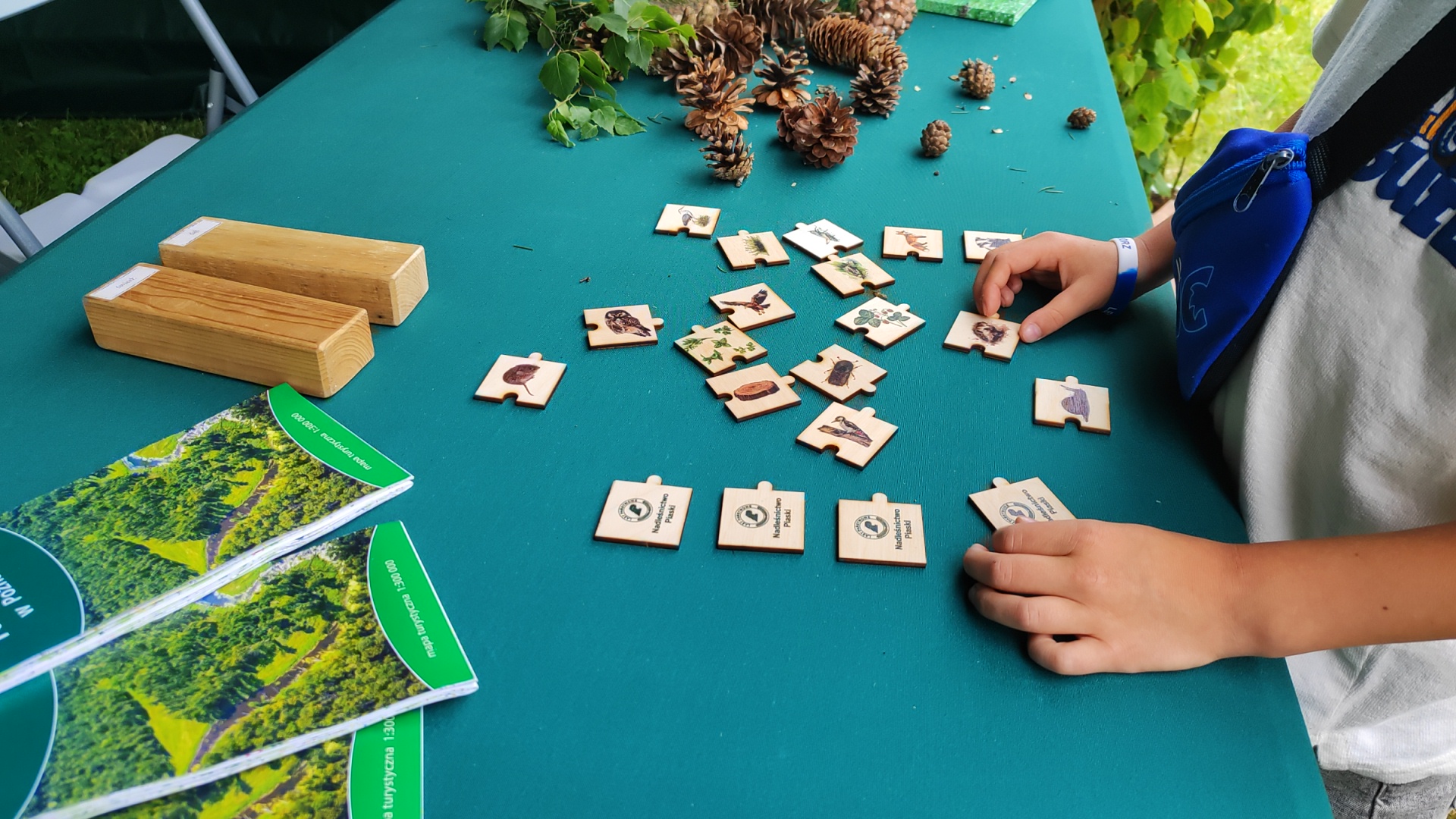 Zdjęcie przedstawia fragment stoiska nadleśnictwa, na stole leżą fragmenty drewna, mapy, szyszki, ręce dziecka układają puzzle przyrodnicze. (fot. archiwum nadleśnictwa, M. Prętkowska) 