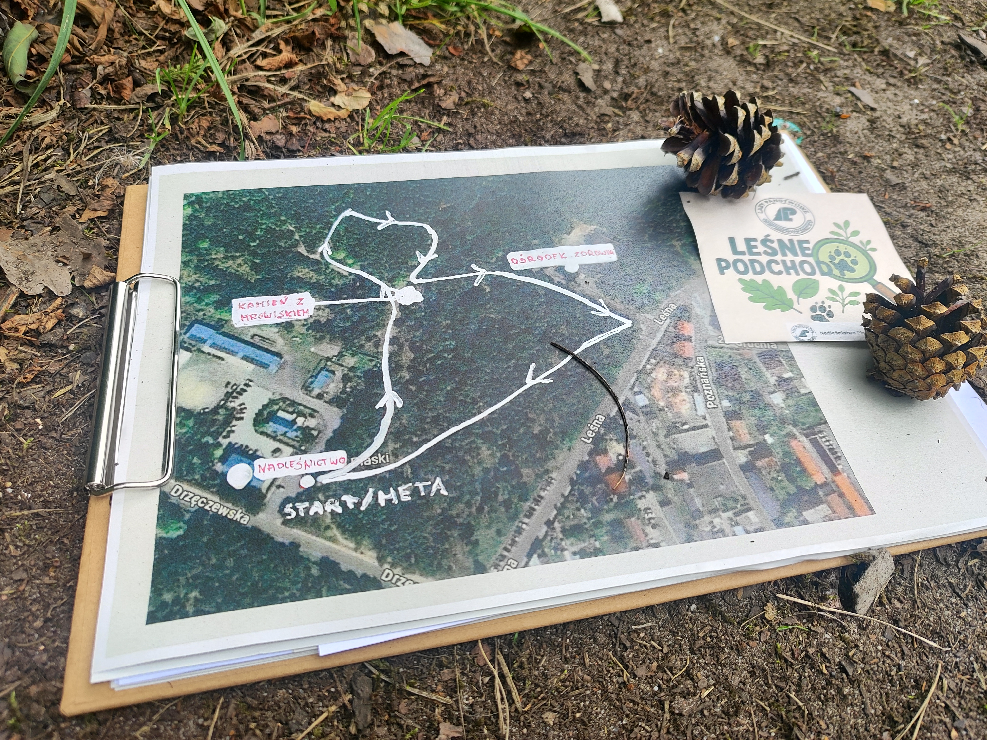 Zdjęcie przedstawia mapę z zaznaczoną trasą, mapa leży na drodze leśnej, obok niej widać szyszki sosny. (fot. M.Prętkowska)