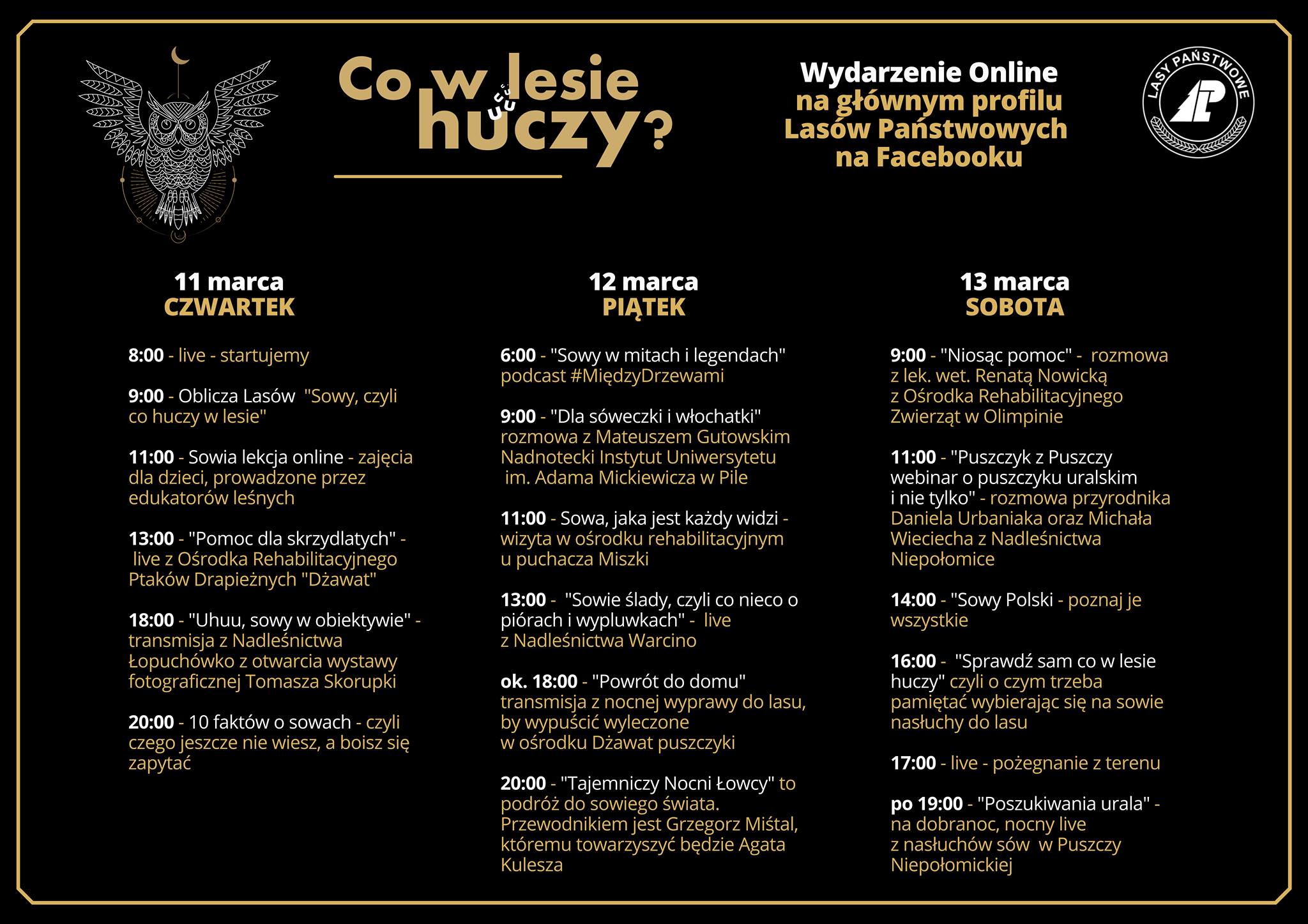 Zdjęcie przedstawia program wydarzeń w ramach akcji "Co w lesie huczy"?