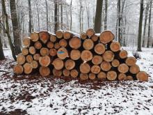 Obniżka cen drewna opałowego