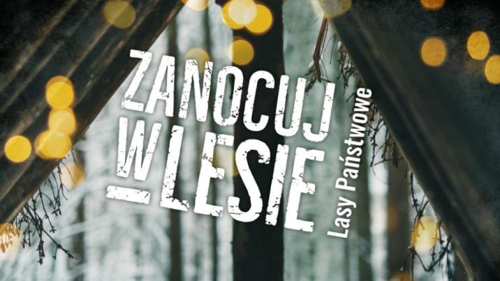 Zdjęcie&#x20;promujące&#x20;program&#x20;&#x22;Zanocuj&#x20;w&#x20;lesie&#x22;