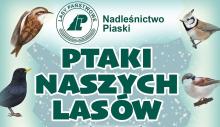 Podsumowanie ferii z ptakami naszych lasów! Zapraszamy!