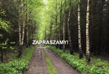 Pomysł na wypoczynek w Nadleśnictwie Piaski