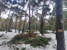 Uwaga – trudne warunki w lasach