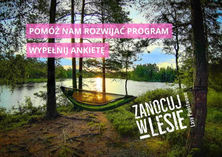 Zdjęcie przedstawia hamak rozwieszony w lesie nad jeziorem, w tle zachodzące słońce i tekst informujący o ankiecie dotyczącej programu "Zanocuj w lesie". Źródło: LP
