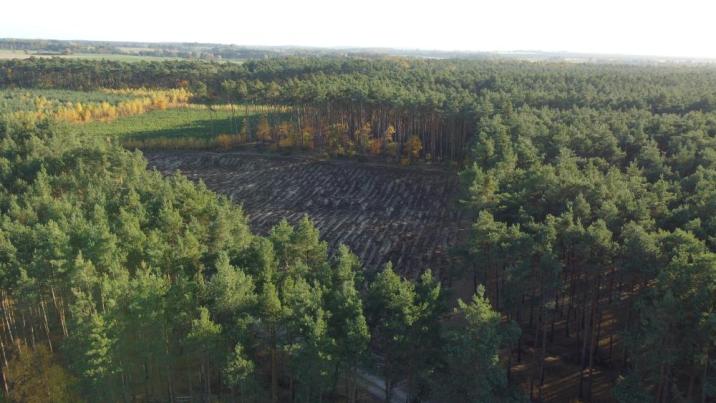 Zdjęcie przedstawia krajobraz leśny - widok z góry (fot. archiwum nadleśnictwa, N. Nabzdyk)
